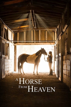 A Horse from Heaven
